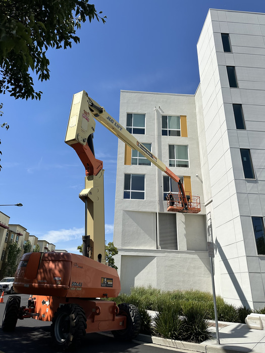 Project Image 19